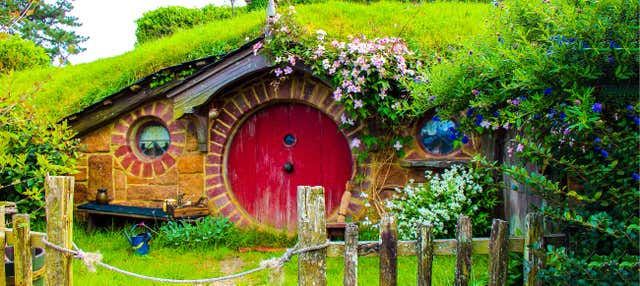 Hobbiton & Rotorua Tour