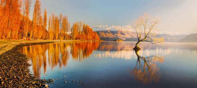 Excursion à Cromwell, Wanaka et Arrowtown