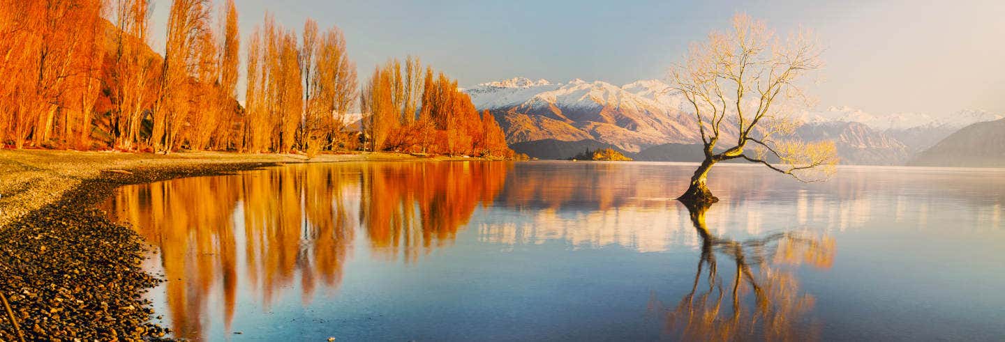 Excursão a Wanaka e Arrowtown