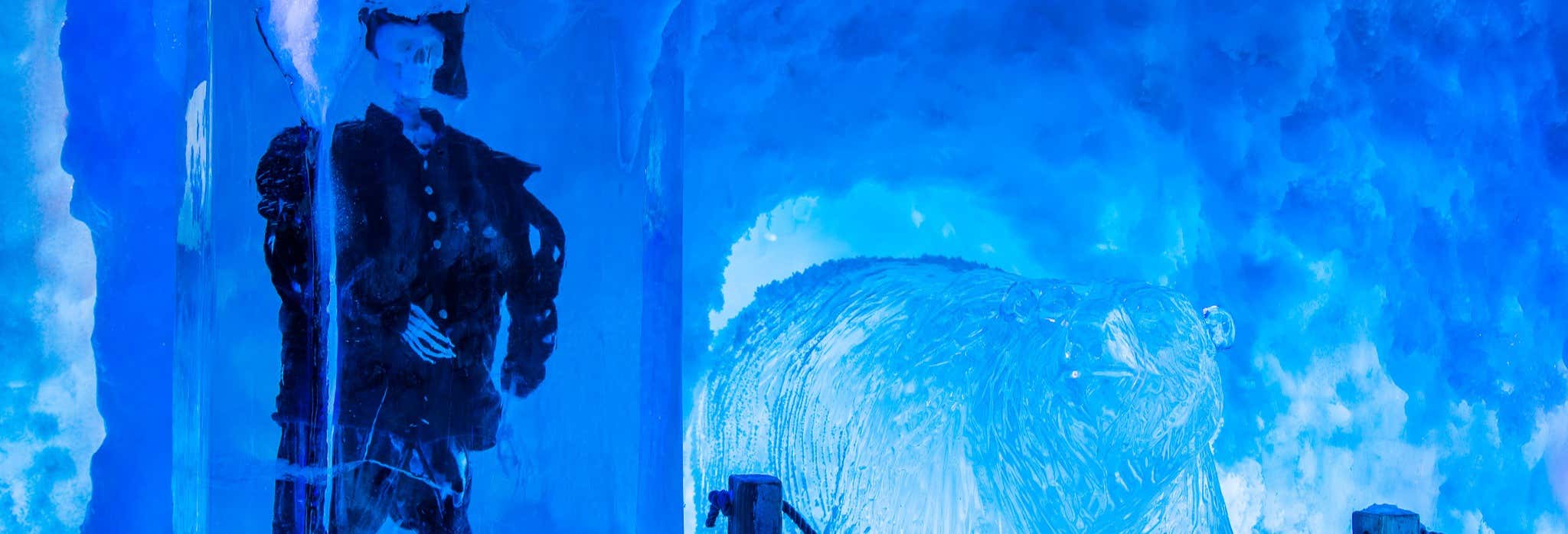 Entrée au Icebar Xtracold