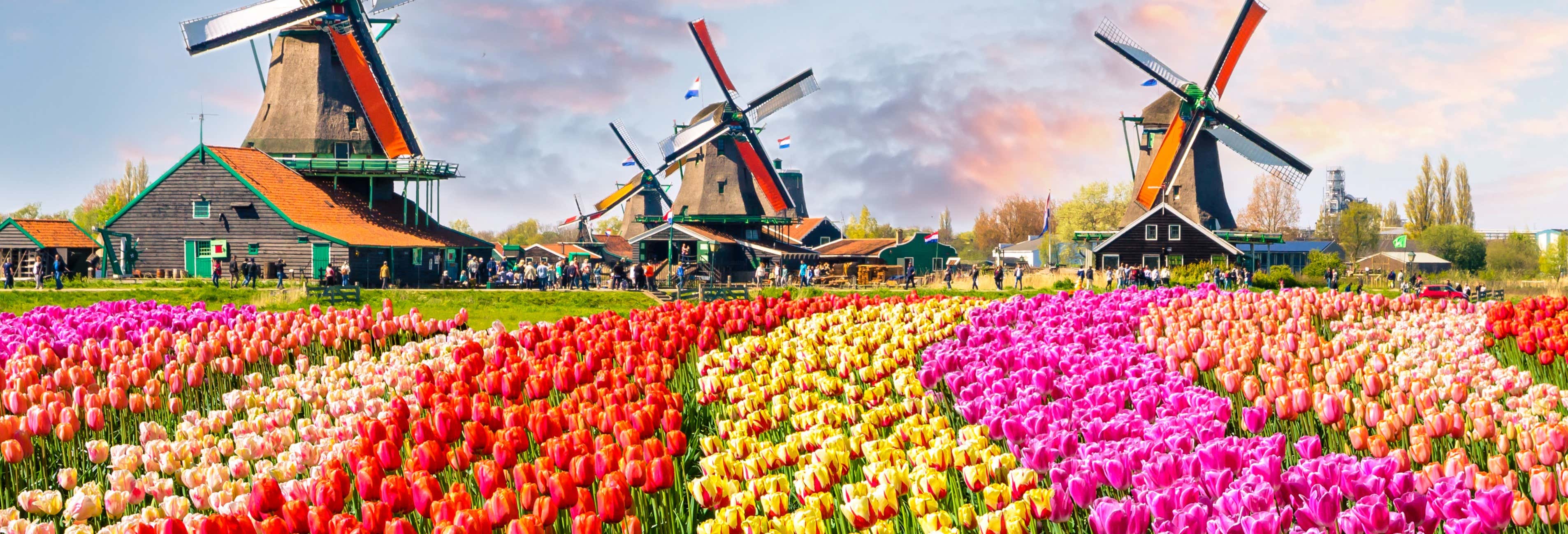 tours of keukenhof gardens from amsterdam