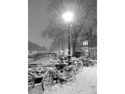 Amsterdam nevada no inverno