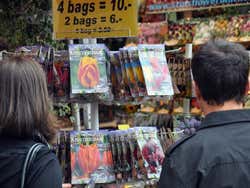 Bloemenmarkt, o mercado das flores
