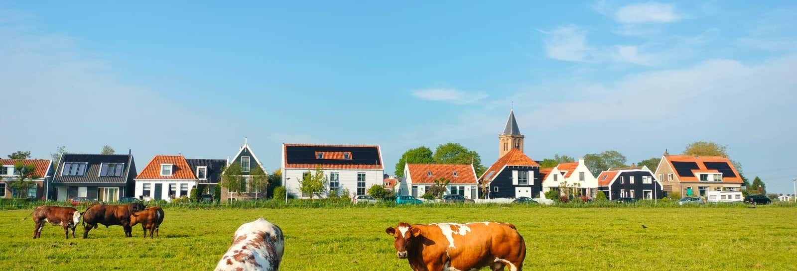 Dutch Countryside Bike Tour from Amsterdam - Introducing Amsterdam