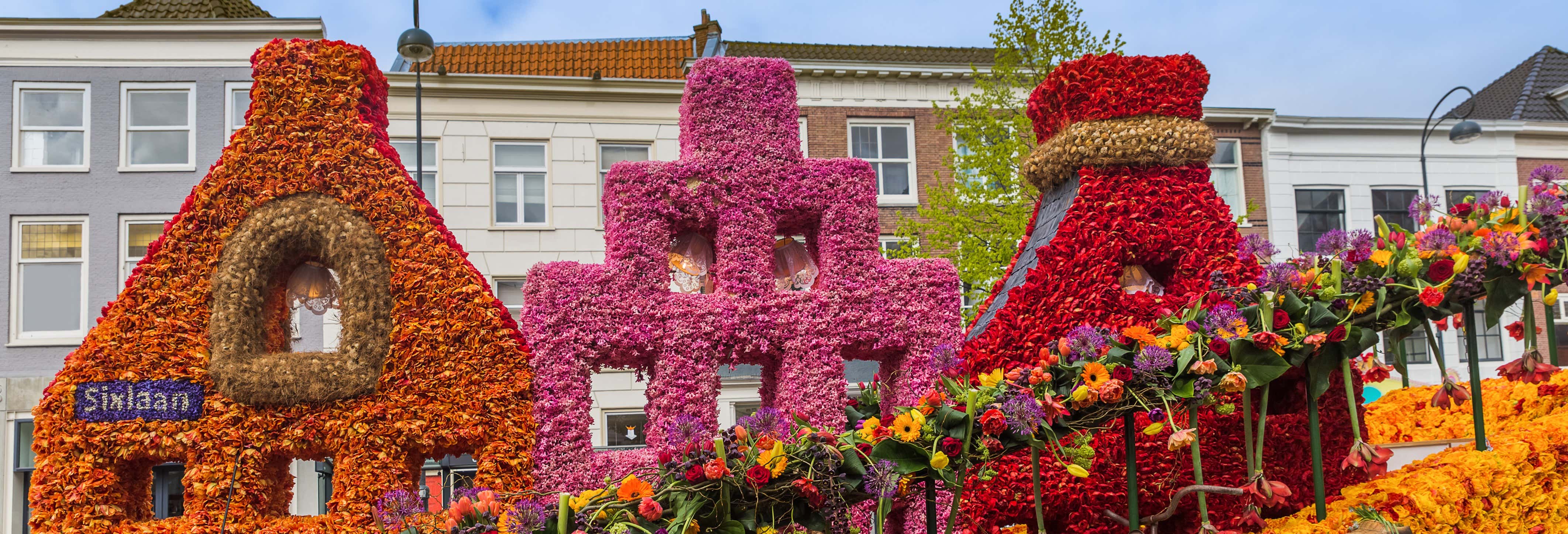Tour de bicicleta por Haarlem