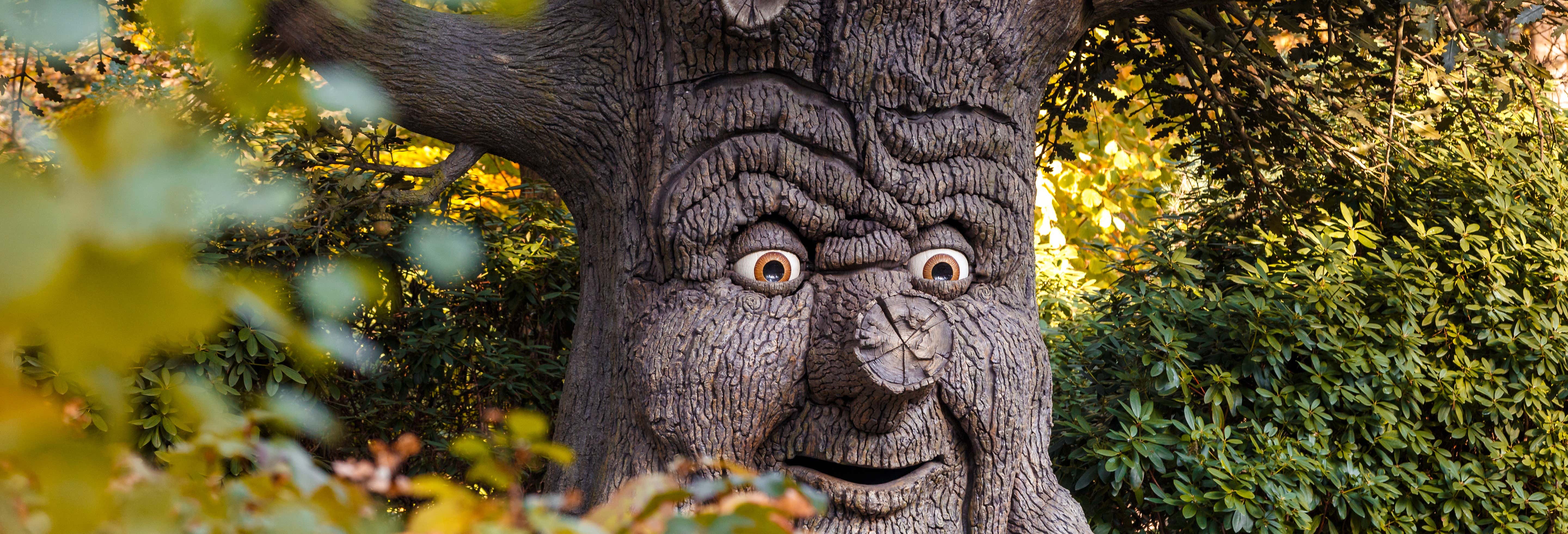 Entrada al parque temático Efteling
