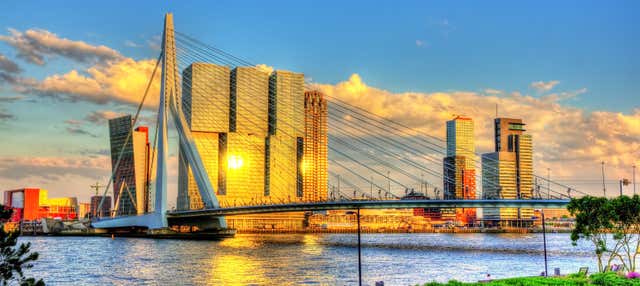 Private Tour of Rotterdam