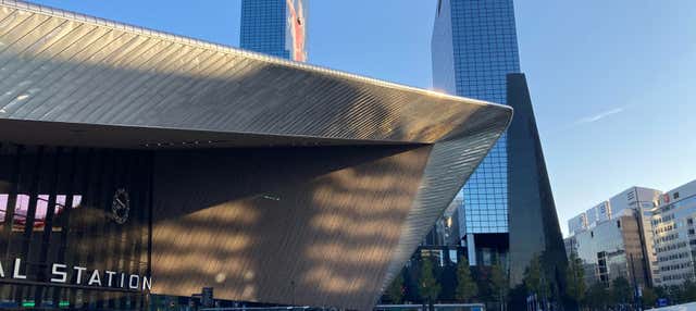 Guided Walking Tour of Rotterdam
