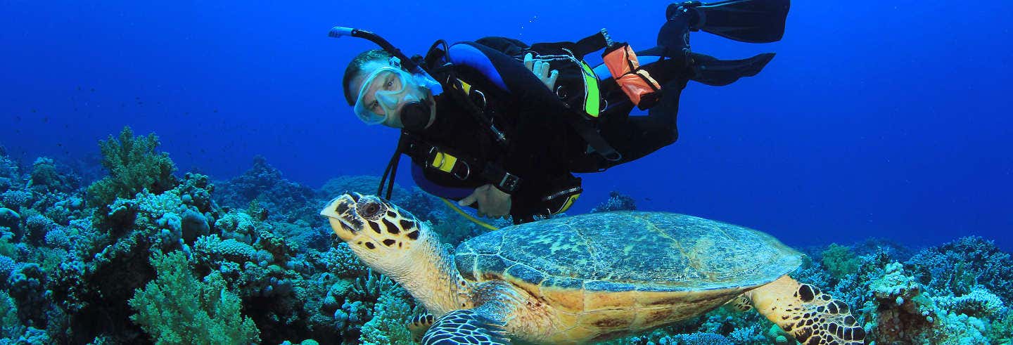 Buceo en Portobelo