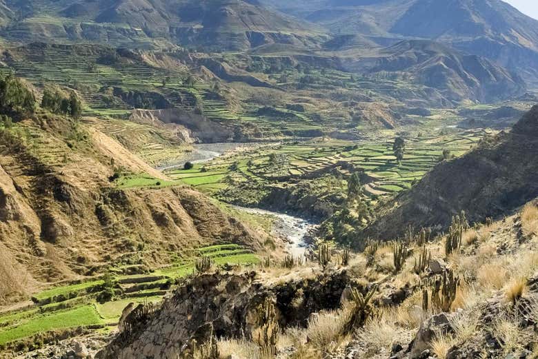 canyon du colca