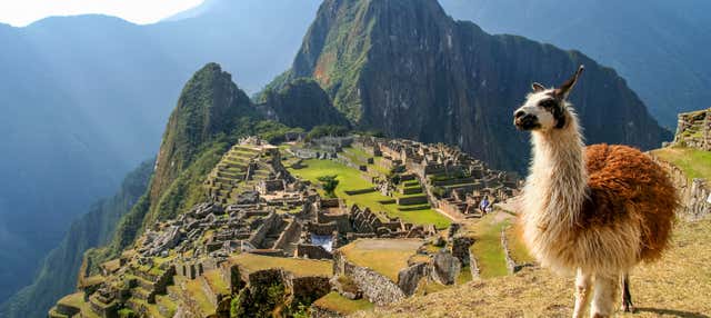 Excursion au Machu Picchu