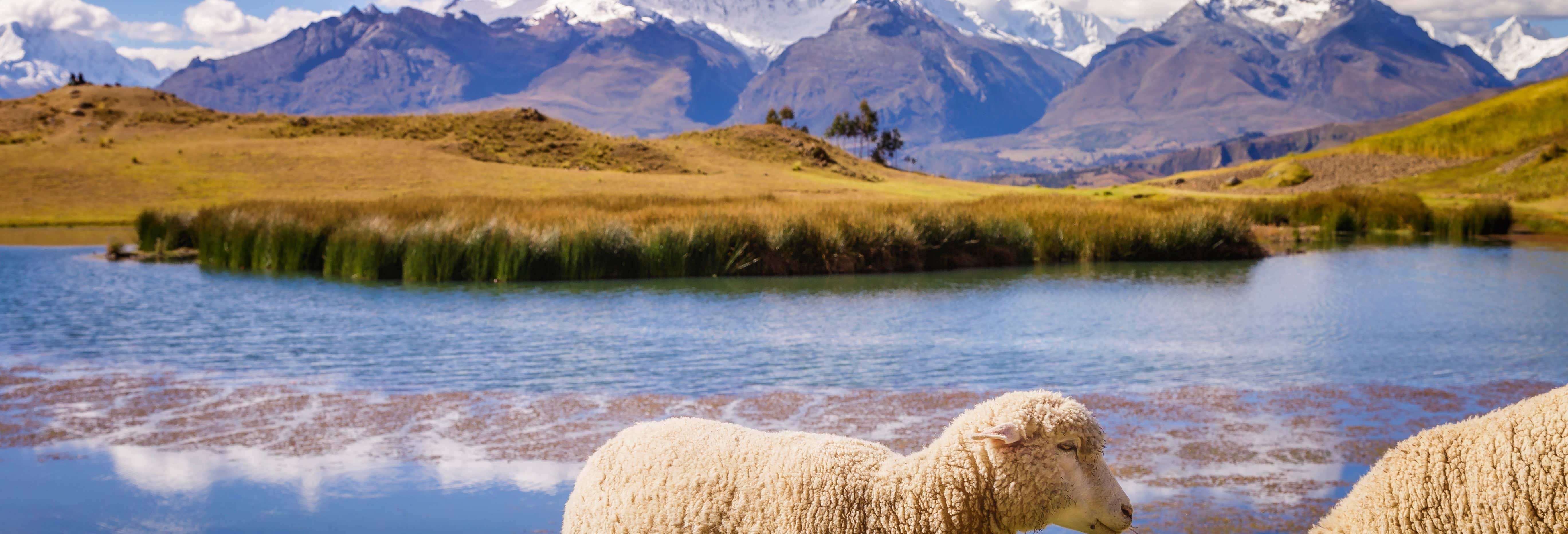 Trekking alla Laguna Wilcacocha