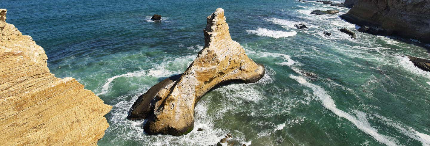 Excursión a la Reserva Nacional de Paracas