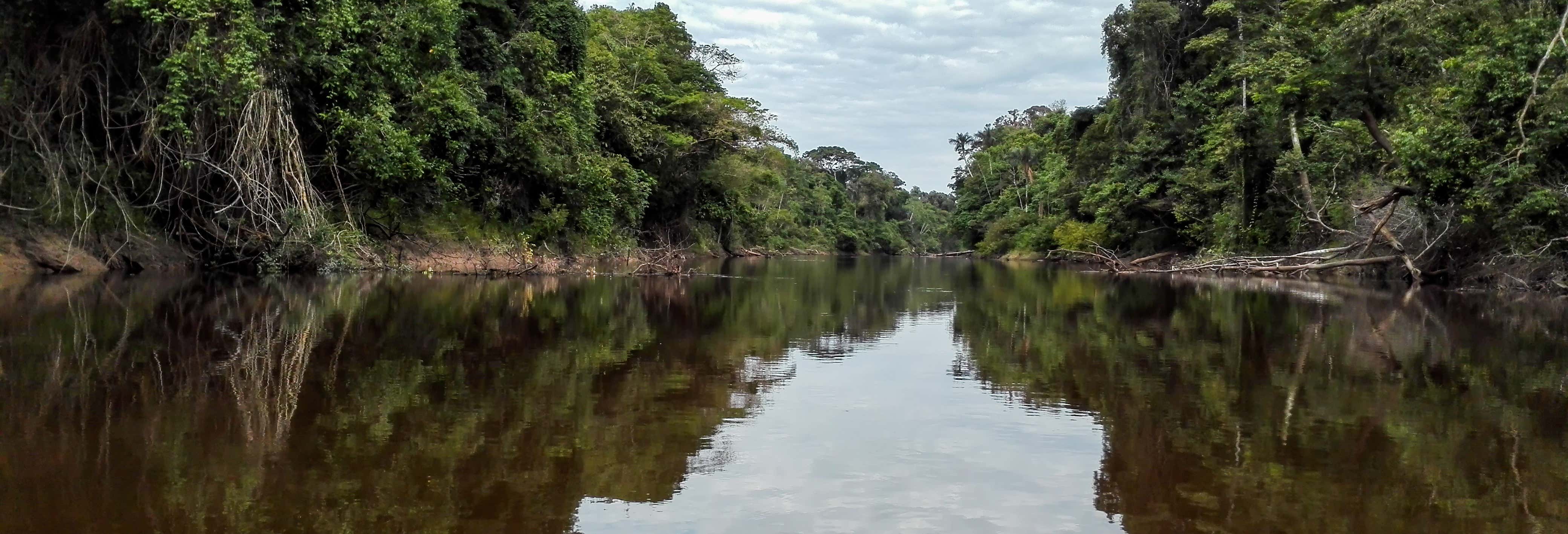 Excursión a Pacaya Samiria