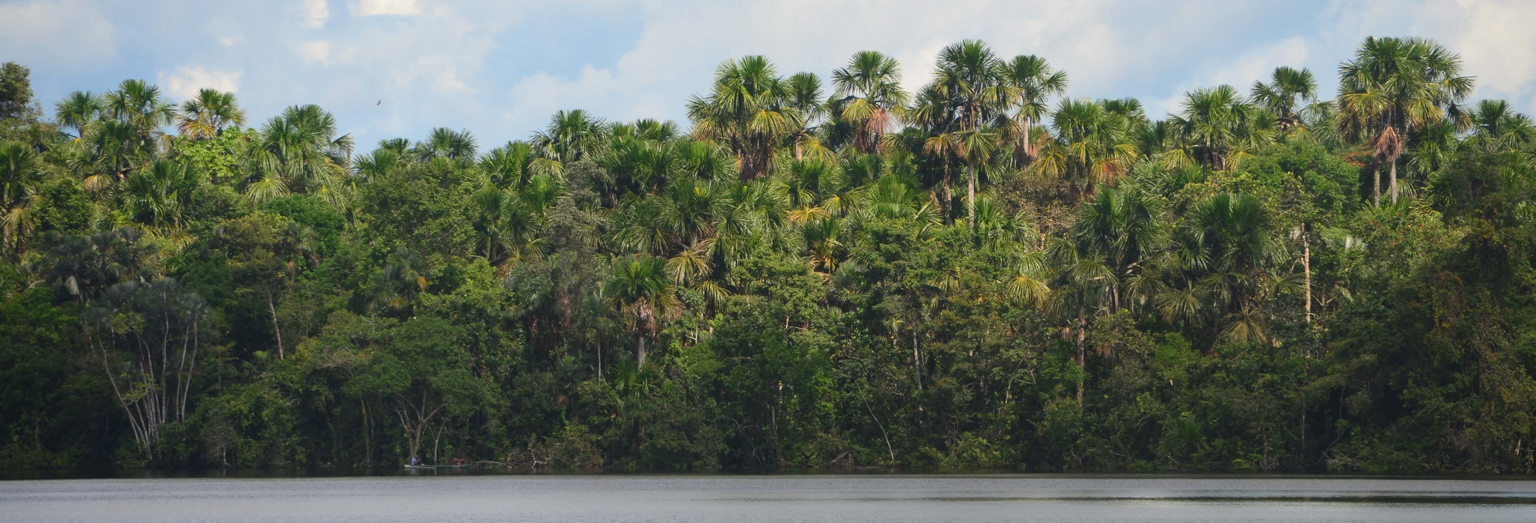 Excursión al río Amazonas