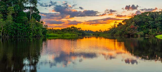 Tour de 3 días por el norte del Amazonas desde Iquitos