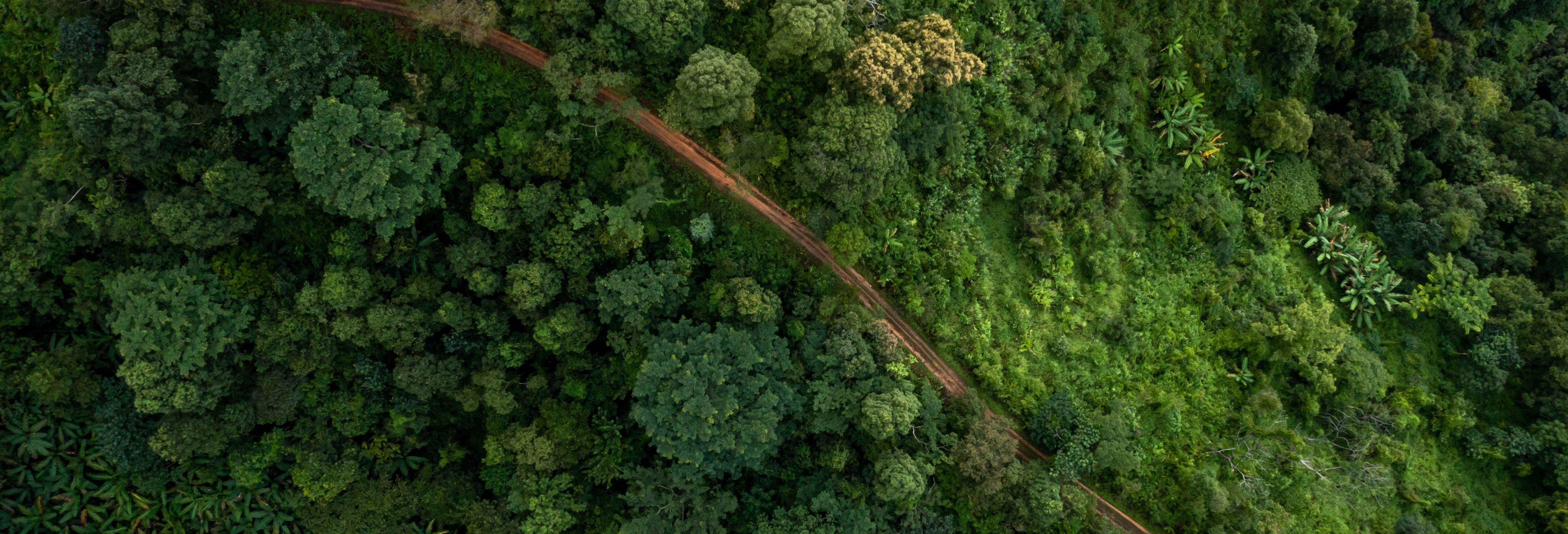 Tour de 4 días por el norte del Amazonas