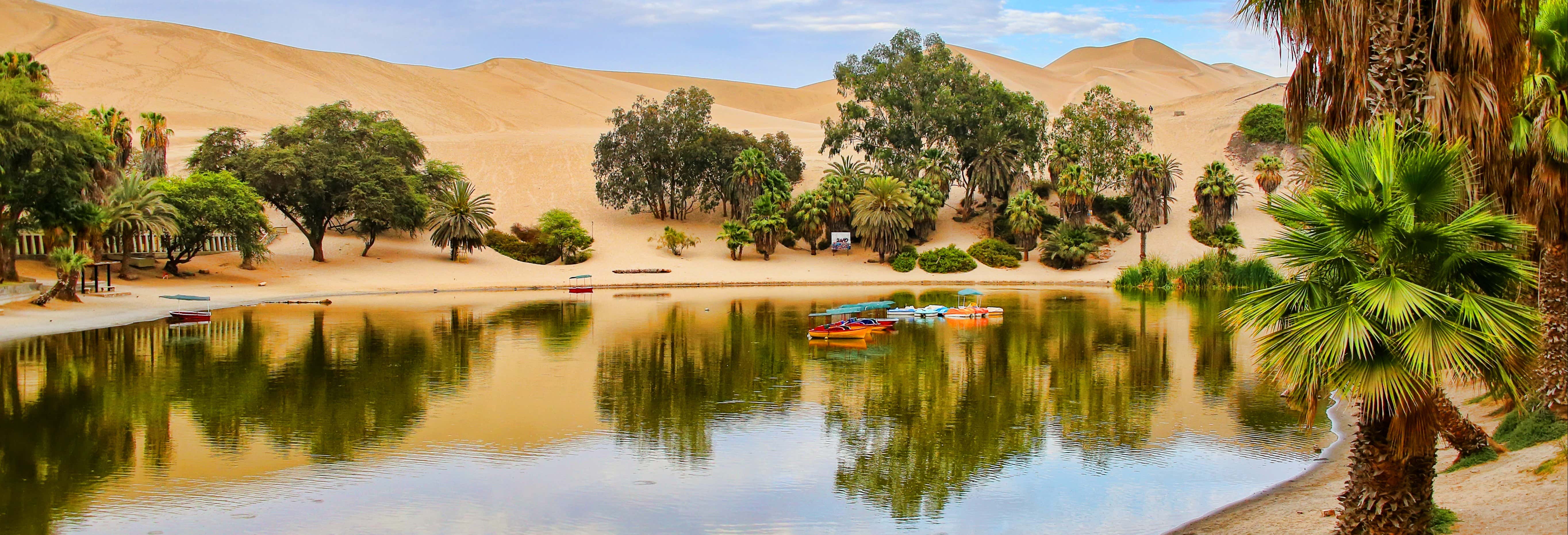 Excursión a Ica y Huacachina + Islas Ballestas