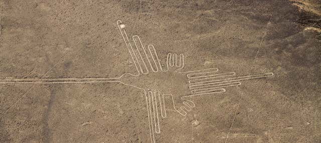Excursión a Ica y vuelo sobre las Líneas de Nazca