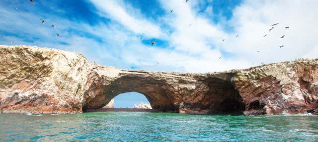 Islas Ballestas + Reserva Nacional de Paracas