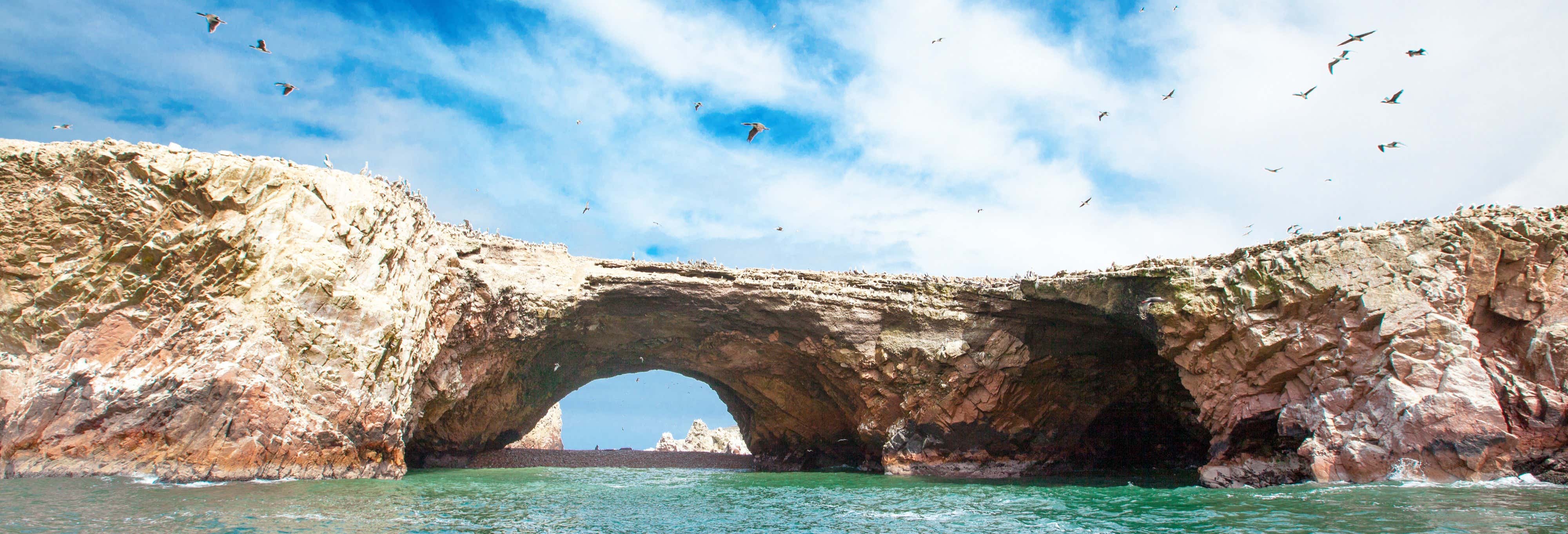 Islas Ballestas + Reserva Nacional de Paracas