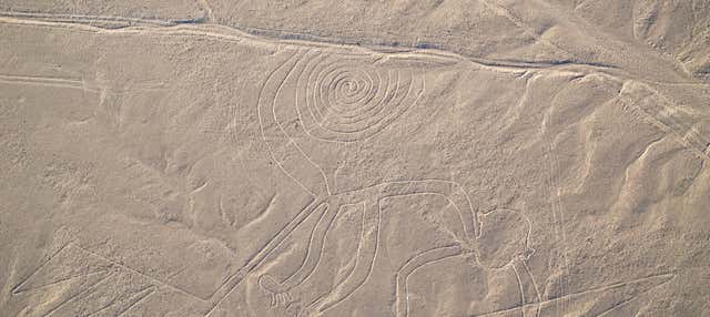 Voo sobre as Linhas de Nazca