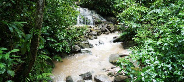 Excursión a la Catarata de Ahuashiyacu