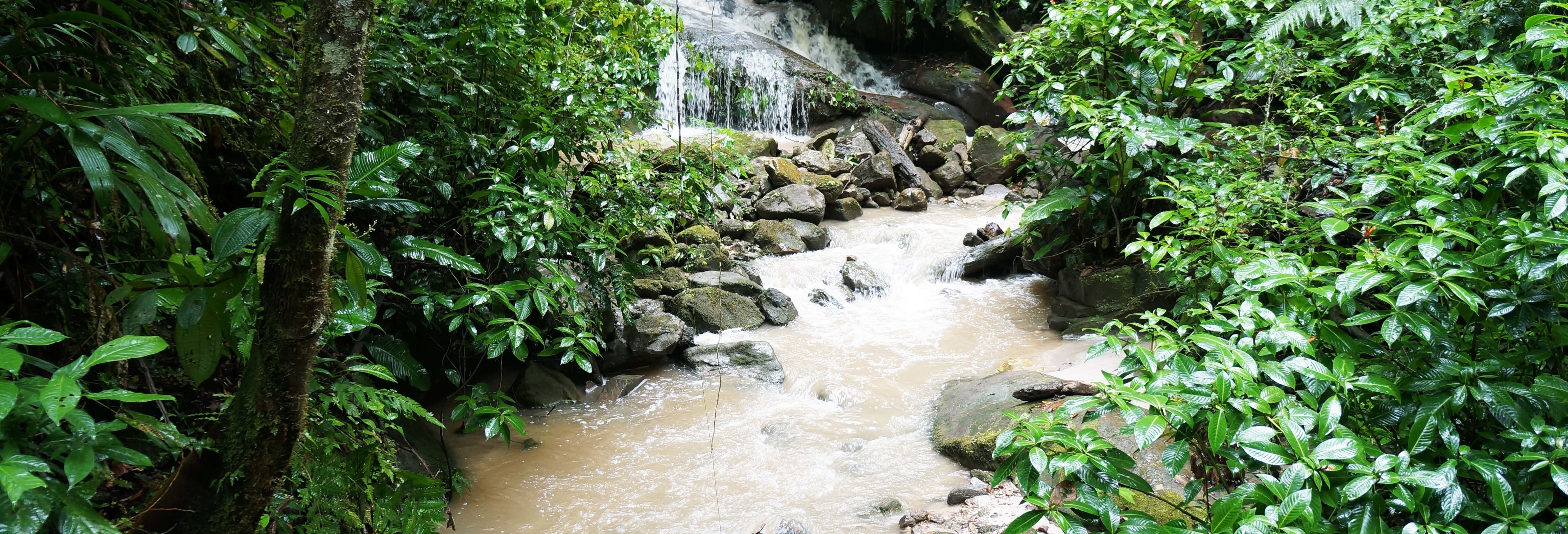 Excursión a la Catarata de Ahuashiyacu