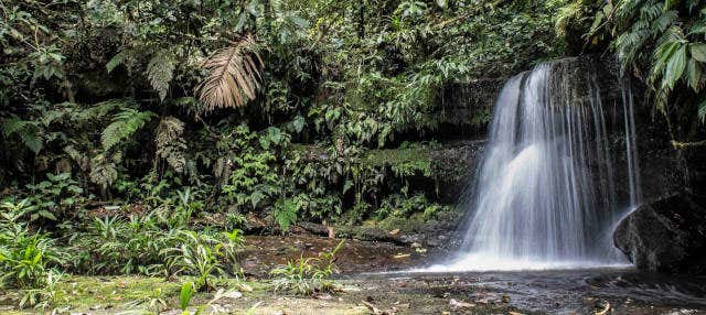 Tour del Parco Nazionale Cordillera Azul in 4 giorni