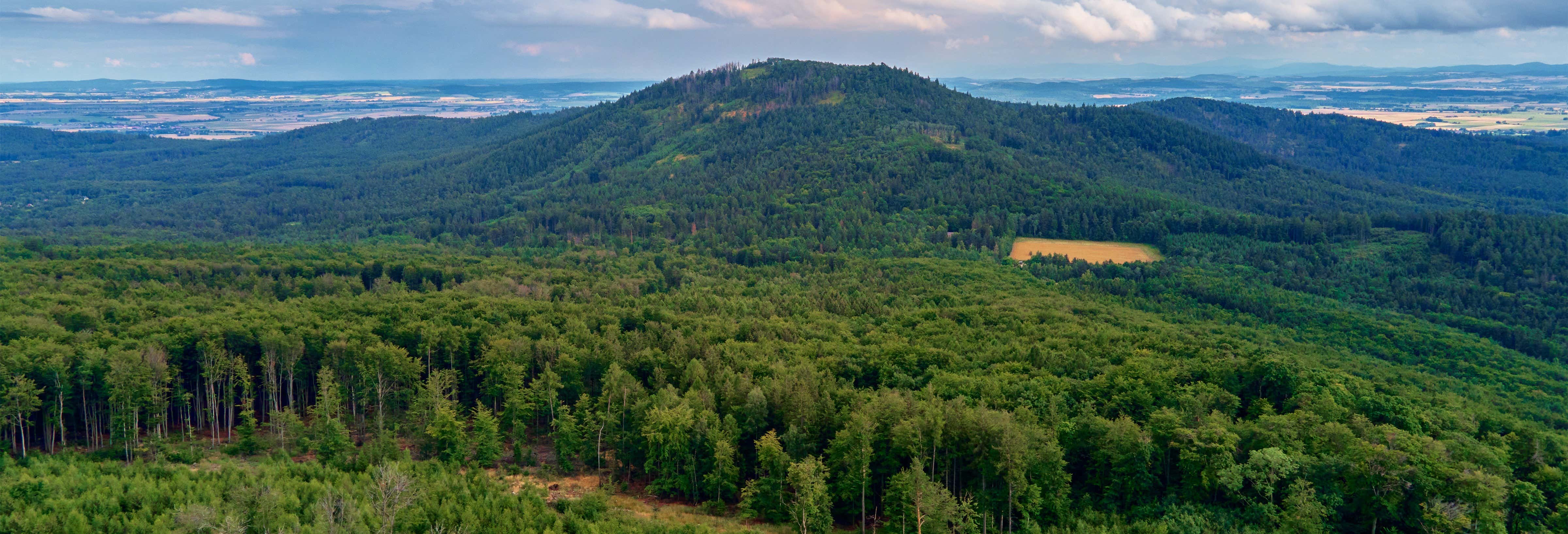 Tour por el Monte Ślęża, Krzyżowa y Świdnica