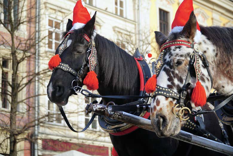 Cavalos com gorro de Natal