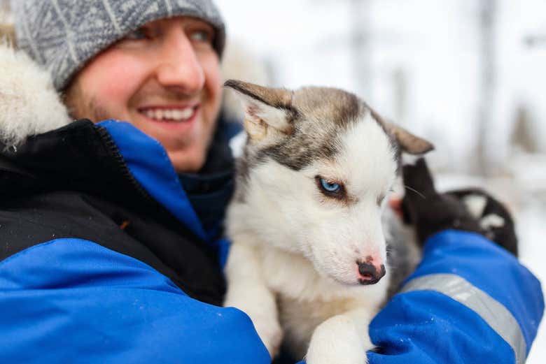 Brincando com os cachorros