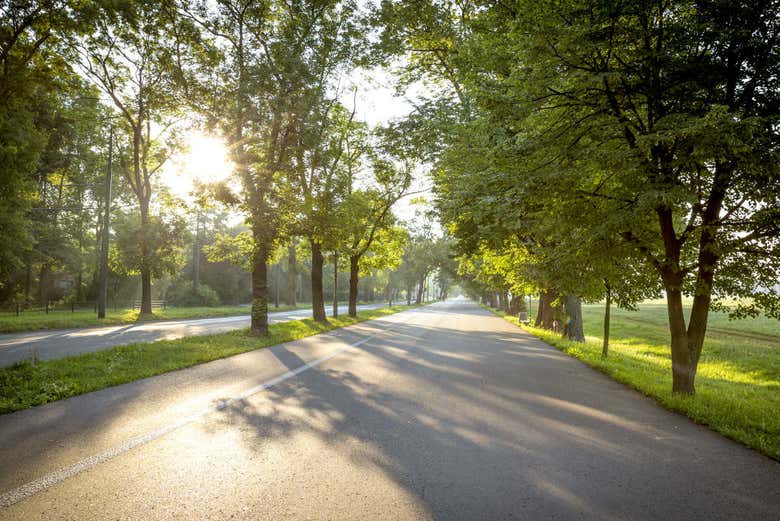 Atravessando o parque Blonia