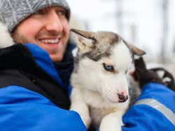 Brincando com os cachorros