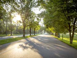 Atravessando o parque Blonia