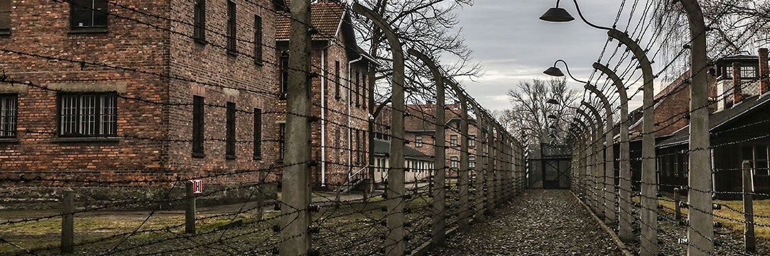 Resultado de imagen para Fotos del campo de concentraciÃ³n nazi de Auschwitz