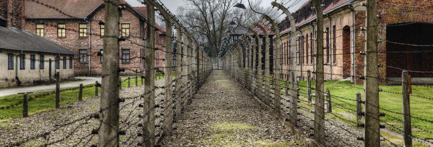 Excursión privada a Auschwitz-Birkenau en español
