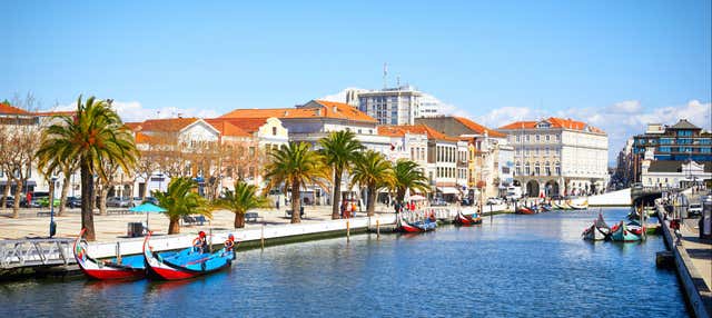 Tour por Aveiro + Passeio de barco moliceiro