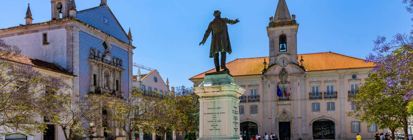Visita guiada por Aveiro