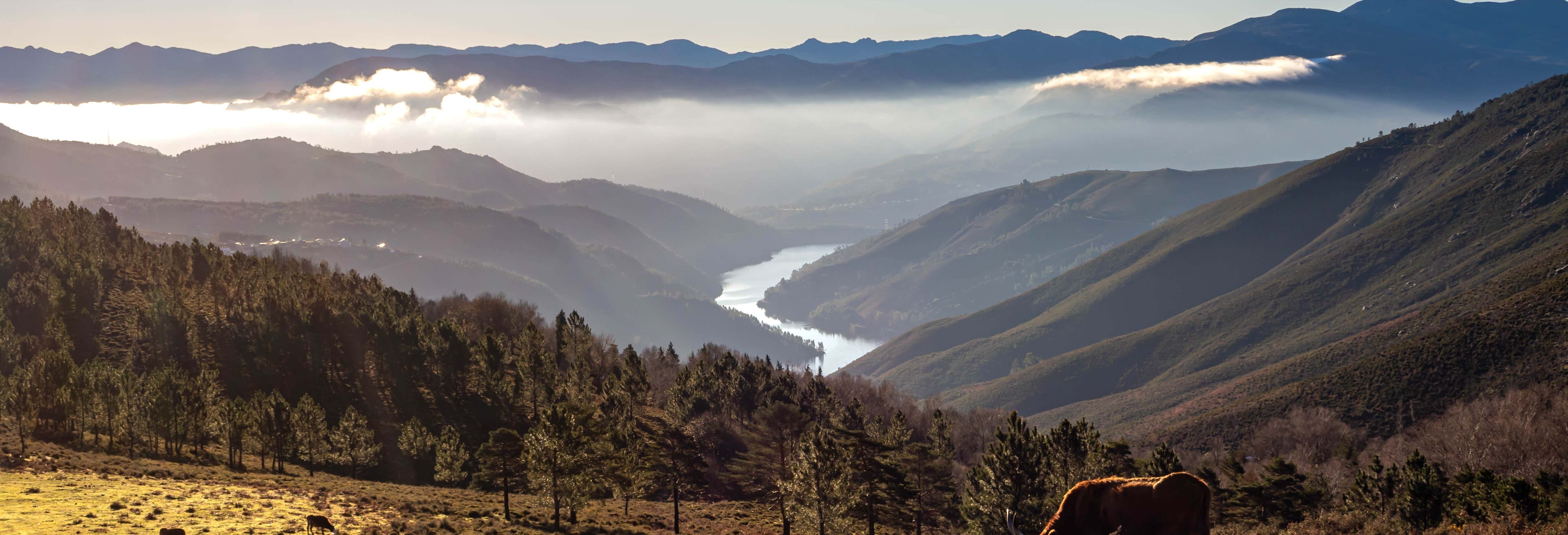 Excursión al Parque Nacional de Peneda-Gerês
