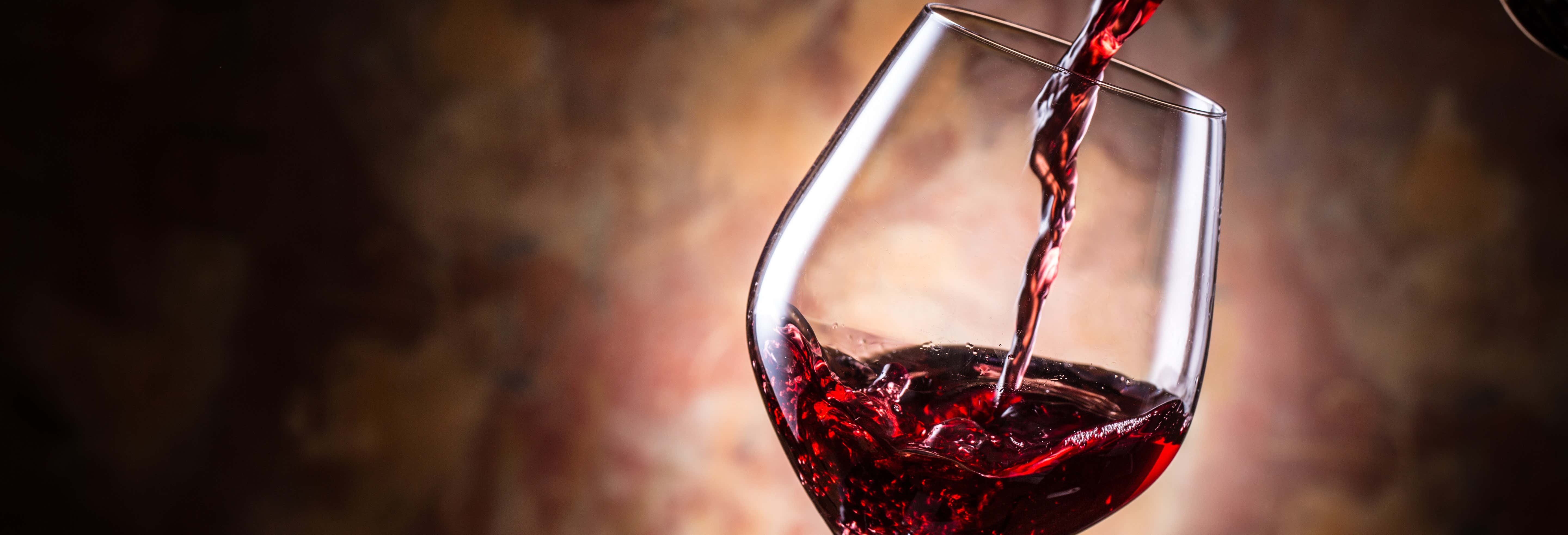 Visita a las bodegas Prior Lucas