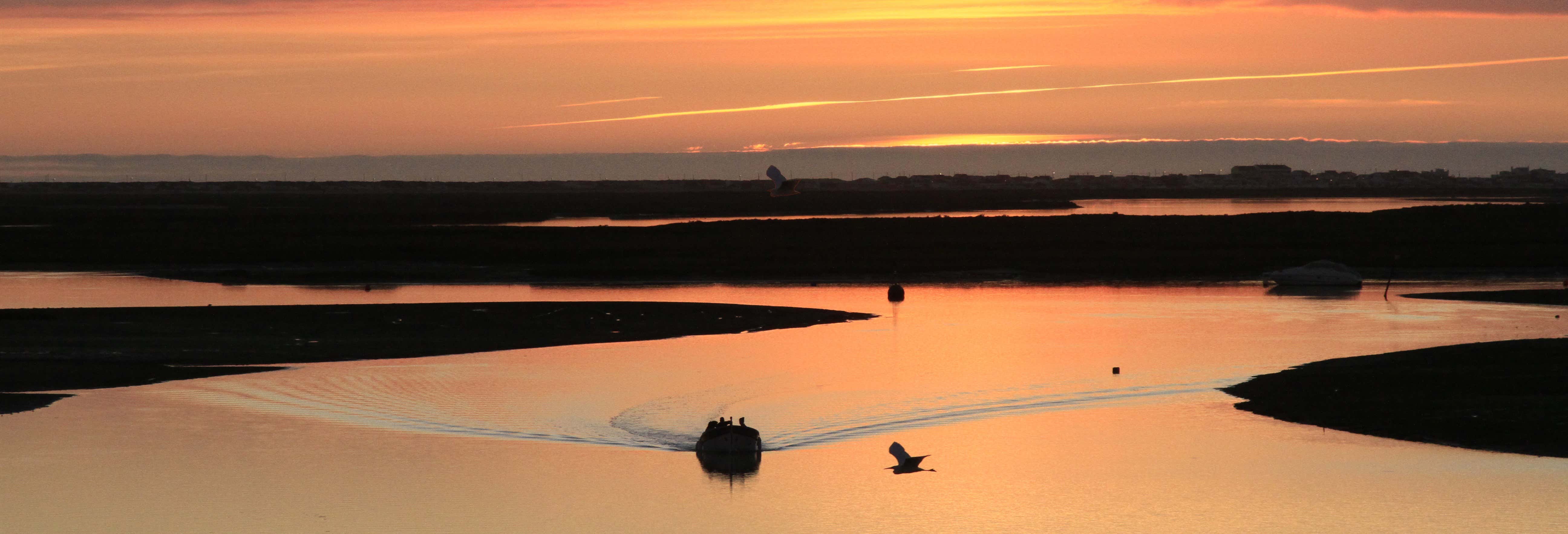 Catamarán por Ría Formosa al atardecer