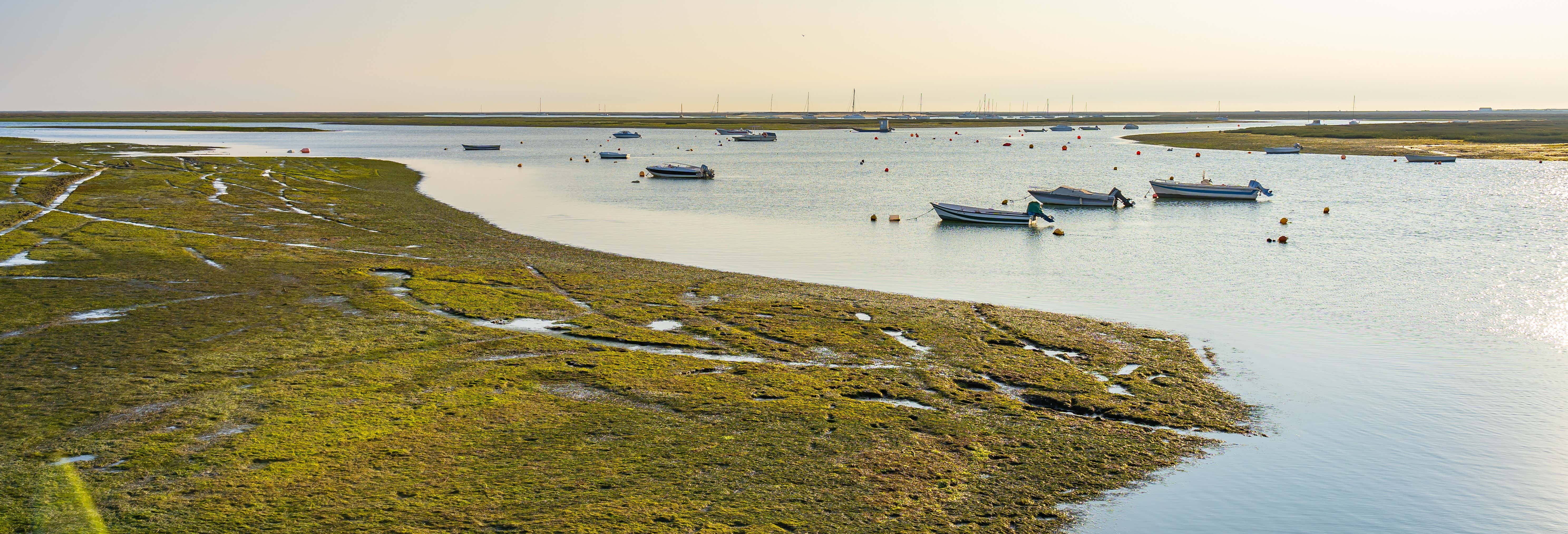 Paseo en lancha rápida por la Ría Formosa