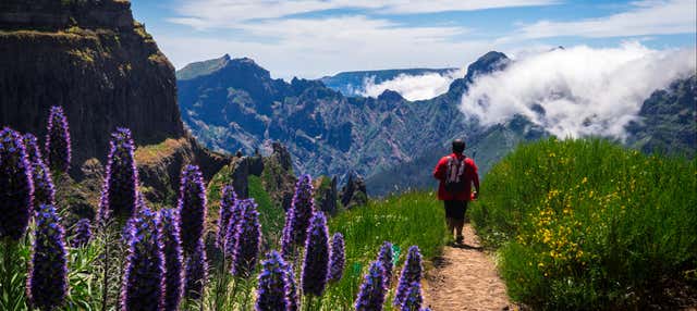 Trilha por Madeira