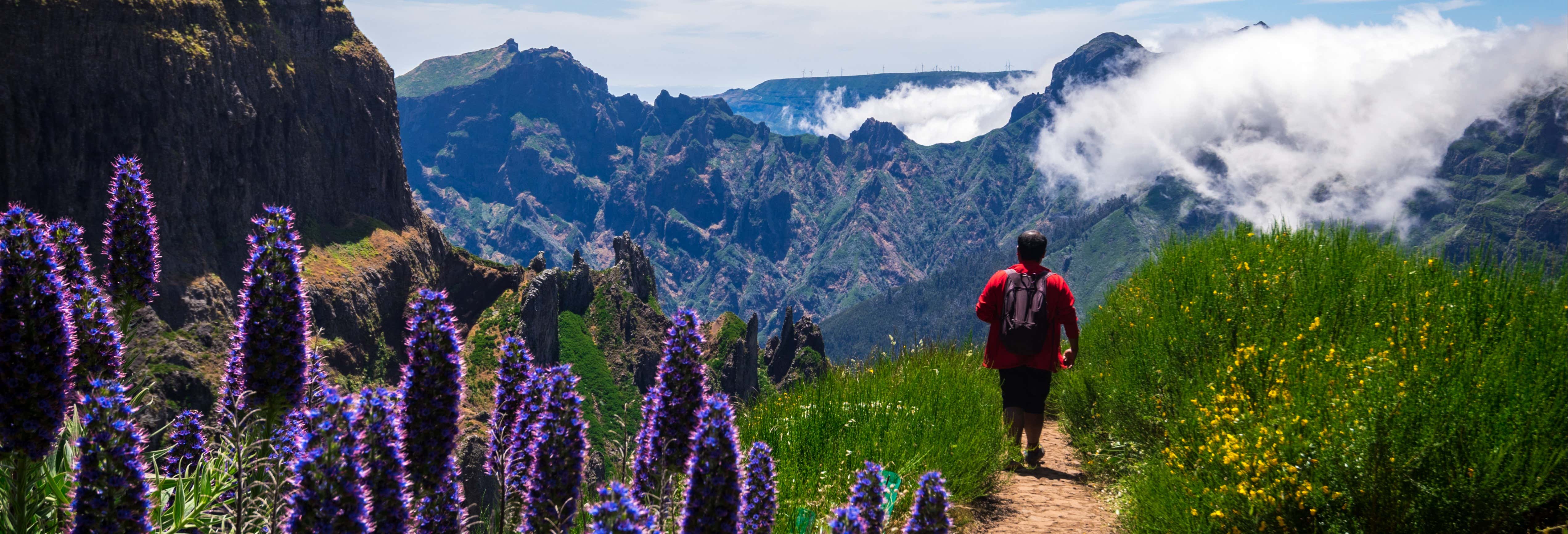 Trilha por Madeira