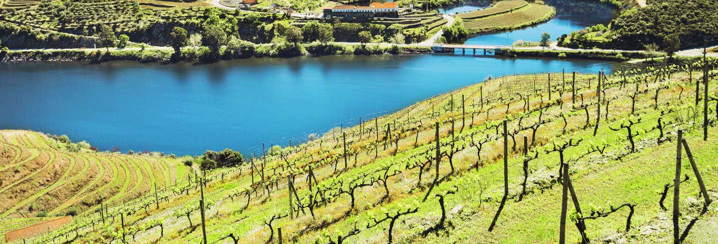 Tour por la región del Duero