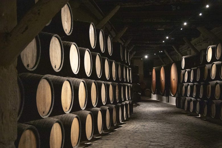 wine cellar tour porto