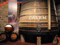 Bodega Calem, interior