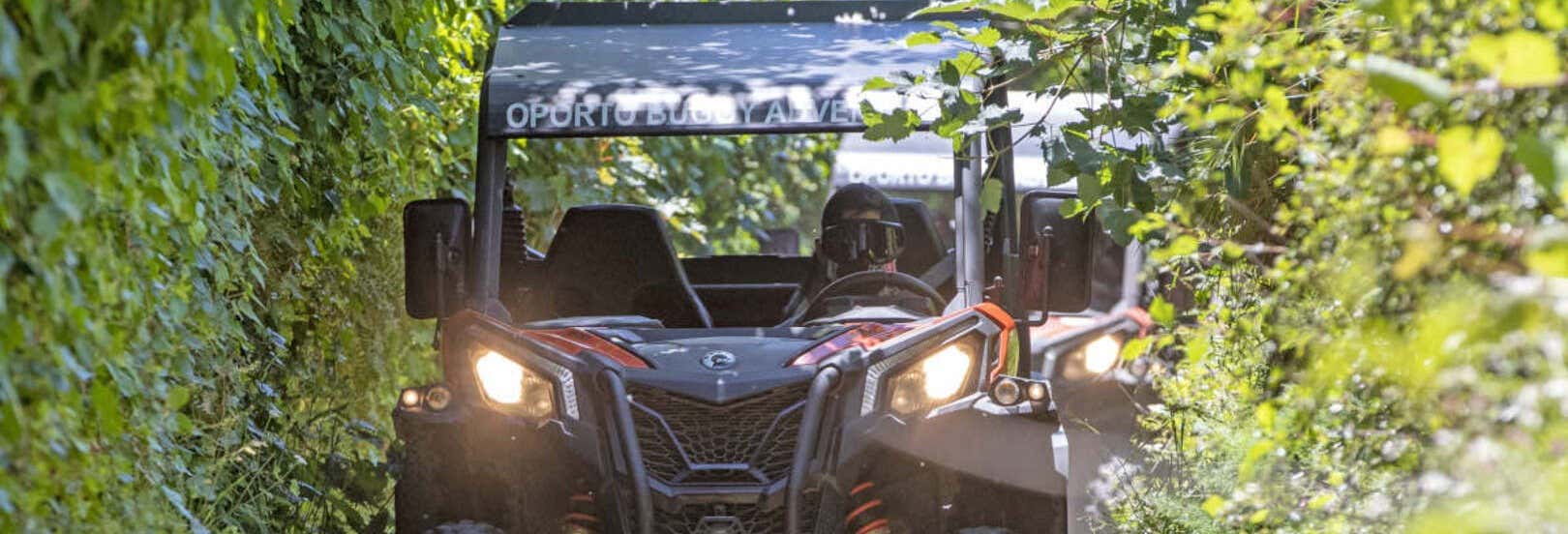 Tour de buggy pelos arredores do Porto