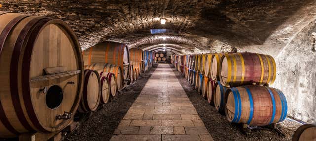 Douro Valley Wine Tasting and Tour